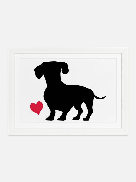 Dackel - Gerahmtes Poster (37 × 27 cm) - Weiß