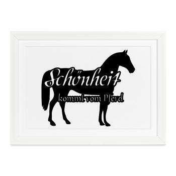 Schönheit und Pferd Geschenk Reiter Reiten Spruch - Gerahmtes Poster (37 × 27 cm) - Weiß - Vorne