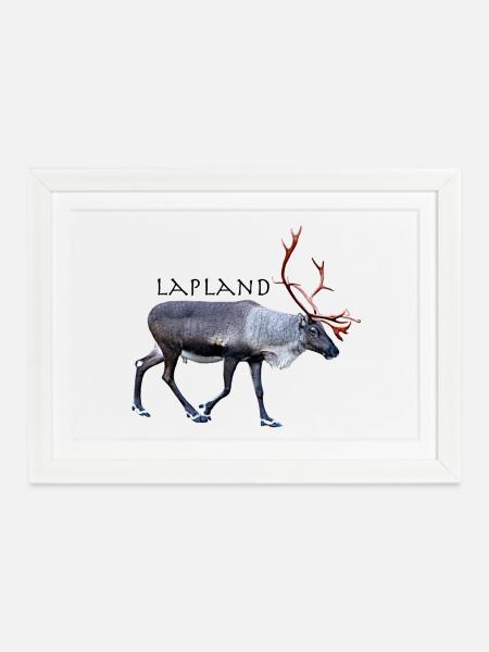 Lappland - Gerahmtes Poster (37 × 27 cm) - Weiß