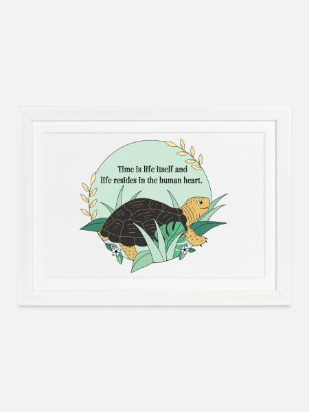 Schildkröte Kassiopeia - Gerahmtes Poster (37 × 27 cm) - Weiß