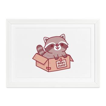 Adoptiere Chaos Lustige, süße Waschbär in Pappkarton - Gerahmtes Poster (37 × 27 cm) - Weiß - Vorne