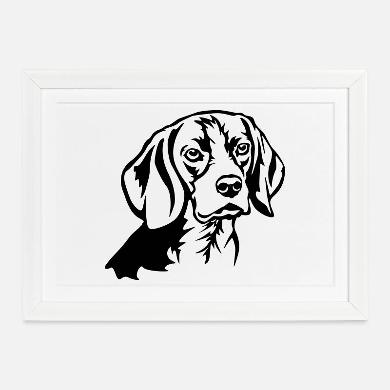 Tête de Beagle - Affiche encadrée (37 × 27 cm) - blanc
