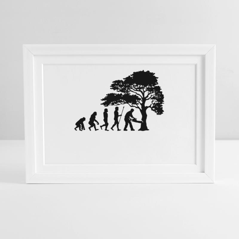 Lumberjack Tree Evolution sciure de bois Affiche encadrée (37 × 27 cm)