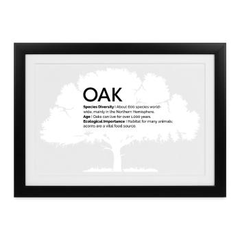 OAK Eichen mit Informationen Naturschutz Baum Wald - Gerahmtes Poster (37 × 27 cm) - Schwarz - Vorne