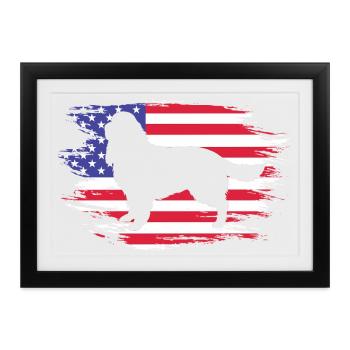 Springer Spaniel - Gerahmtes Poster (37 × 27 cm) - Schwarz - Vorne
