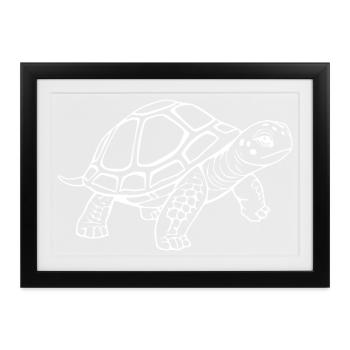 Schildkröten Schildkröten - Gerahmtes Poster (37 × 27 cm) - Schwarz - Vorne