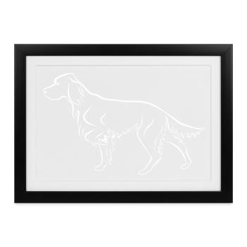 Setter vorstehend - Gerahmtes Poster (37 × 27 cm) - Schwarz - Vorne