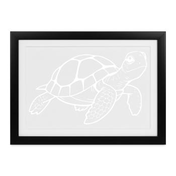 Schildkröten Schildkröten - Gerahmtes Poster (37 × 27 cm) - Schwarz - Vorne
