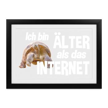 Ich bin älter als das Internet - Schildkröte - Gerahmtes Poster (37 × 27 cm) - Schwarz - Vorne