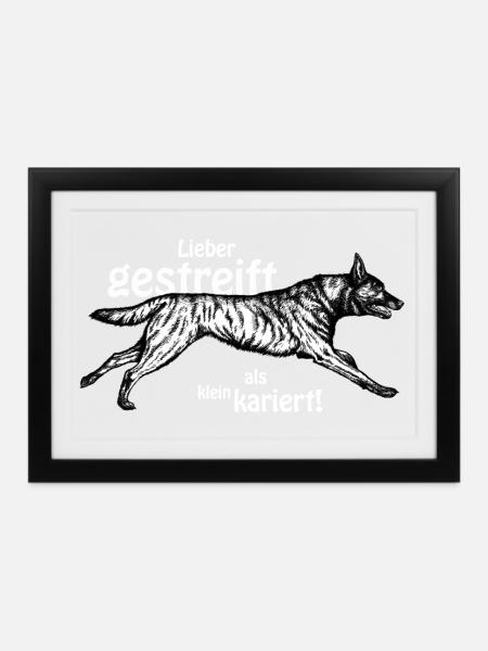 lieber gestreift als kleinkariert - weiß - Gerahmtes Poster (37 × 27 cm) - Schwarz