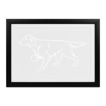 Setter vorstehend - Gerahmtes Poster (37 × 27 cm) - Schwarz - Vorne