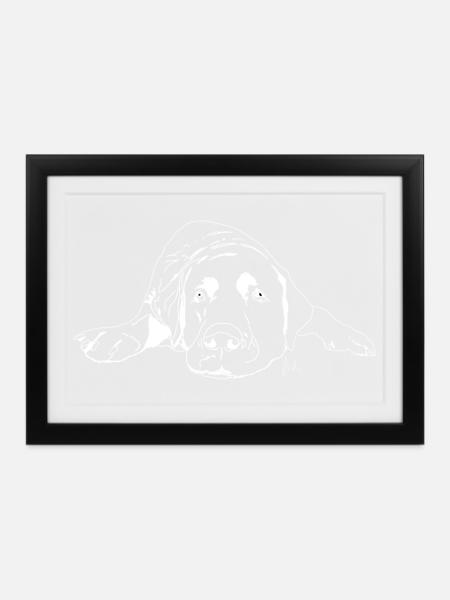 Labrador - Gerahmtes Poster (37 × 27 cm) - Schwarz
