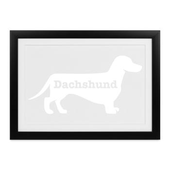 Dackel - Gerahmtes Poster (37 × 27 cm) - Schwarz - Vorne