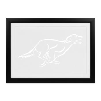 Setter Feldsuche - Gerahmtes Poster (37 × 27 cm) - Schwarz - Vorne