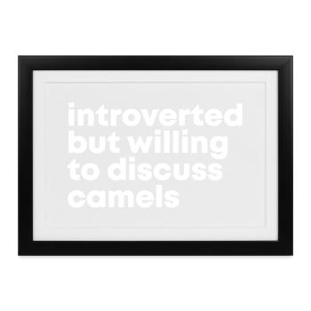 Kamel Kamel Kamel - Gerahmtes Poster (37 × 27 cm) - Schwarz - Vorne