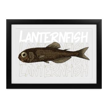 Tiefsee Monster - Laternenfisch - Gerahmtes Poster (37 × 27 cm) - Schwarz - Vorne