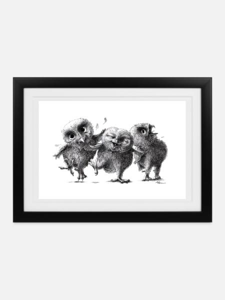 Drei lustige freche Eulen - Gerahmtes Poster (37 × 27 cm) - Schwarz