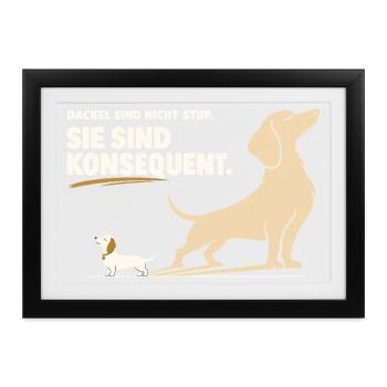 Dackel Spruch Dackelbesitzer Dackel Humor - Gerahmtes Poster (37 × 27 cm) - Schwarz - Vorne