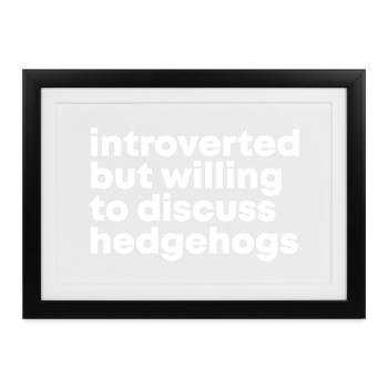 Igel Igel Igel Igel - Gerahmtes Poster (37 × 27 cm) - Schwarz - Vorne
