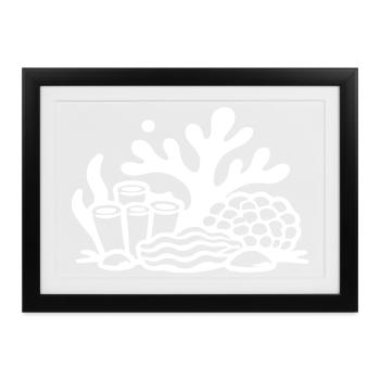 Korallen Korallenriff Ozean - Gerahmtes Poster (37 × 27 cm) - Schwarz - Vorne