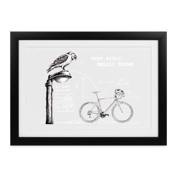 what birds really think - lustiges Vogel Design - Gerahmtes Poster (37 × 27 cm) - Schwarz - Vorne