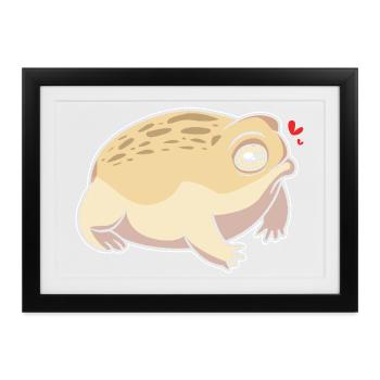 Frosch Desert Rain Frog - Gerahmtes Poster (37 × 27 cm) - Schwarz - Vorne