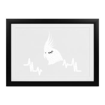 Nymphensittich - Velcro Bird With A Mohawk - Vogel - Gerahmtes Poster (37 × 27 cm) - Schwarz - Vorne