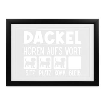Dackel Hund Rauhaardackel Dackelliebhaber Teckel - Gerahmtes Poster (37 × 27 cm) - Schwarz - Vorne