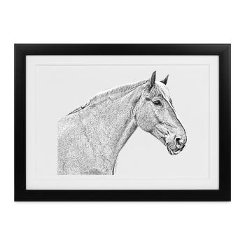 Pferdekopf Pferd Dressurpferd Pferderasse Reiten - Gerahmtes Poster (37 × 27 cm) - Schwarz - Vorne