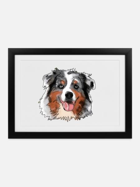 Australian Shepherd - Gerahmtes Poster (37 × 27 cm) - Schwarz