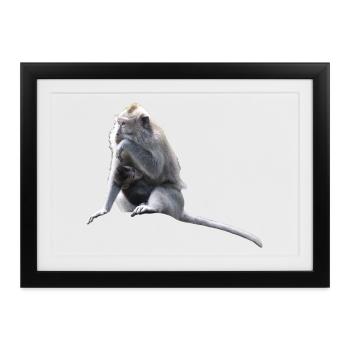 Affe - Gerahmtes Poster (37 × 27 cm) - Schwarz - Vorne