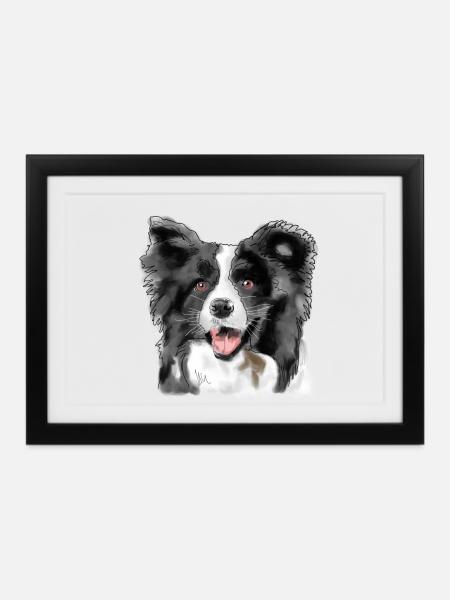 Border Collie - Gerahmtes Poster (37 × 27 cm) - Schwarz