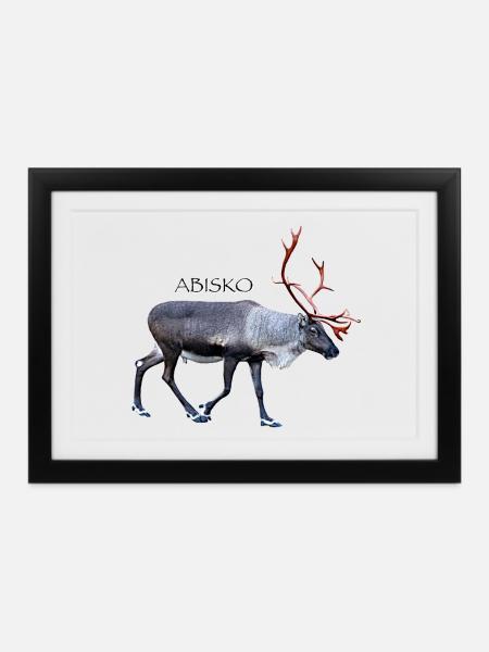 ABISKO Nationalpark Schweden - Gerahmtes Poster (37 × 27 cm) - Schwarz
