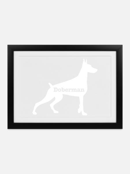 Dobermann - Gerahmtes Poster (37 × 27 cm) - Schwarz