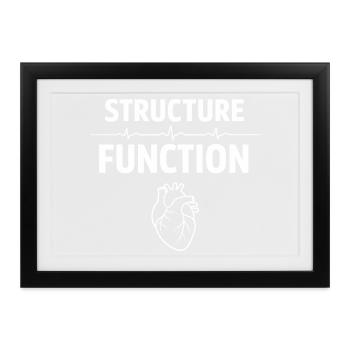 Herzultraschalltechniker Echo-techniker - Gerahmtes Poster (37 × 27 cm) - Schwarz - Vorne