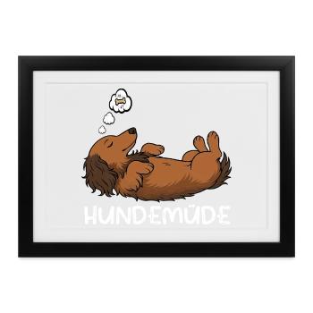 Hundemüde Langhaardackel Dackel Dackelhalter  - Gerahmtes Poster (37 × 27 cm) - Schwarz - Vorne