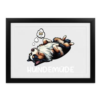 Hundemüde Australian Shepherd Aussie Aussiehalter - Gerahmtes Poster (37 × 27 cm) - Schwarz - Vorne
