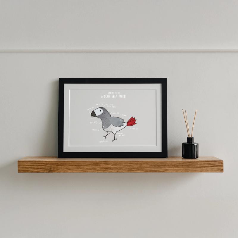 Anatomie der Kugelpython Gerahmtes Poster (37 × 27 cm)