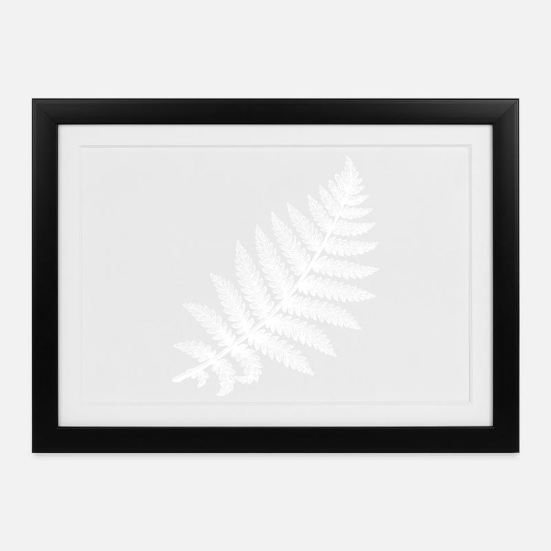 Farnblatt in weißer Silhouette - Gerahmtes Poster (37 × 27 cm) - Schwarz