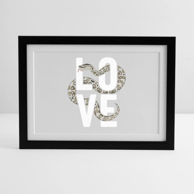 Les serpents rois Python ADORENT les pythons de terrarium Affiche encadrée (37 × 27 cm)
