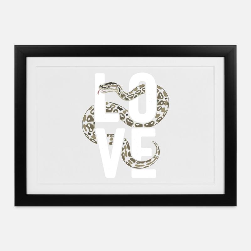 Königspython Schlangen LOVE Terrarium Python - Gerahmtes Poster (37 × 27 cm) - Schwarz