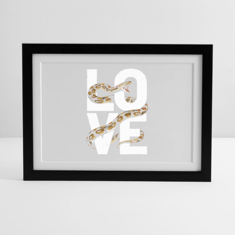 King Python Snakes LOVE Terrarium Python Framed poster (37 × 27 cm)