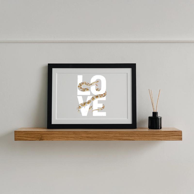 Les serpents rois Python ADORENT les pythons de terrarium Affiche encadrée (37 × 27 cm)