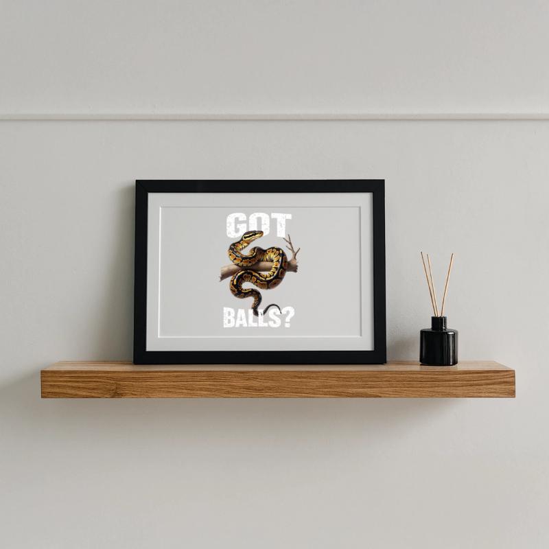 Python roi Serpents Amateurs de terrarium Python Affiche encadrée (37 × 27 cm)