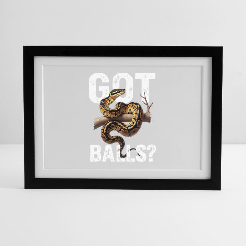 Python roi Serpents Amateurs de terrarium Python Affiche encadrée (37 × 27 cm)