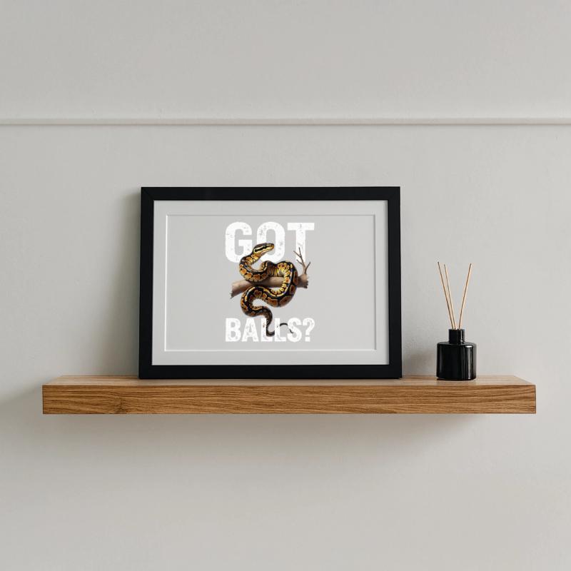 Python roi Serpents Amateurs de terrarium Python Affiche encadrée (37 × 27 cm)