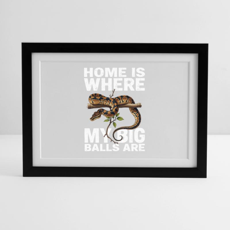 Python roi Serpents Amateurs de terrarium Python Affiche encadrée (37 × 27 cm)