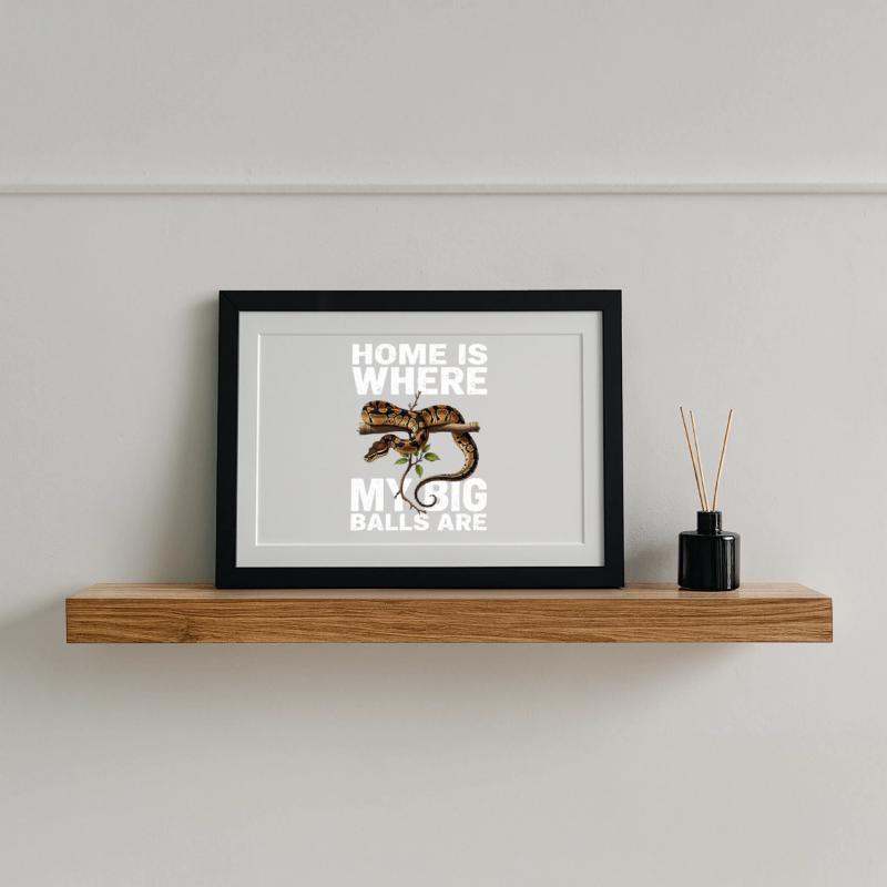 Python roi Serpents Amateurs de terrarium Python Affiche encadrée (37 × 27 cm)