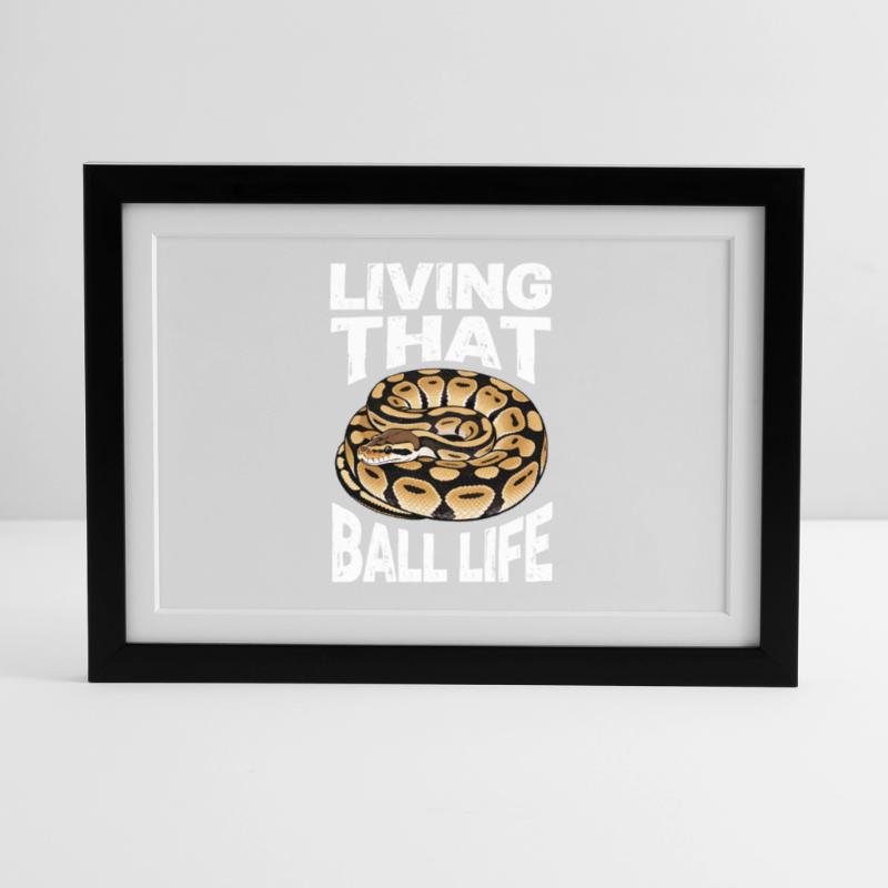 Königspython Schlangen Liebhaber Terrarium Python Gerahmtes Poster (37 × 27 cm)