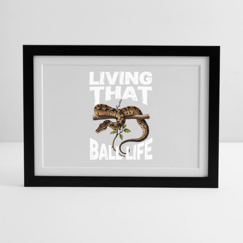 Königspython Schlangen Liebhaber Terrarium Python Gerahmtes Poster (37 × 27 cm)